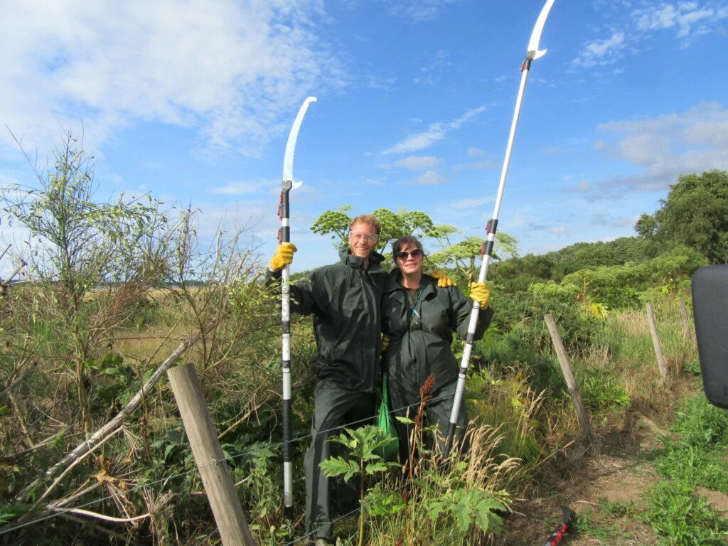 Wild things staff working on habitat restoration