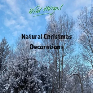Natural Christmas Decorations Activity Pack
