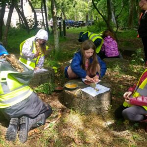 Woodland Classroom - Half Day Sessions